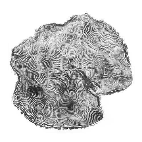 Incredible Arboreal Art