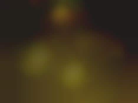 Reality Shocktography