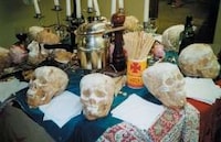 Baked Skeletons Image 3