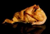 Naughty Plucked Poultry Image 2