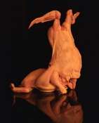 Naughty Plucked Poultry Image 3