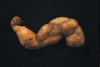 Naughty Plucked Poultry Image 4