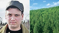 Inhaled Forestation Image 3