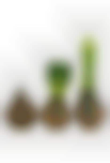 Garden-Inspired Candles