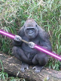 Jedi Police Image 4