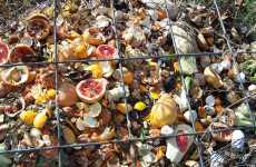 Compostable Snack Bags