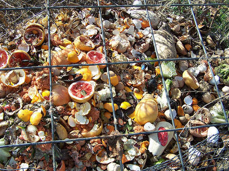 Compostable Snack Bags