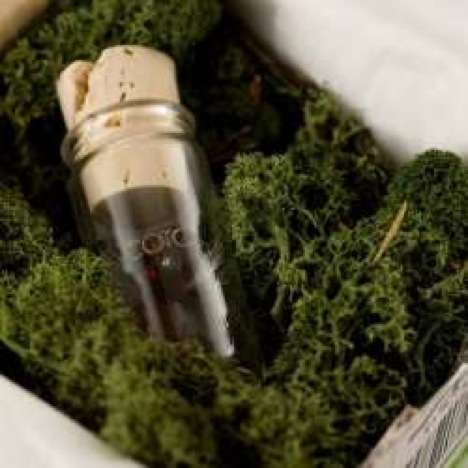 20 Eco-Friendly Packaging Designs