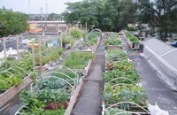 Rooftop CSAs Image 2