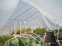 Rooftop CSAs Image 3