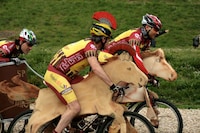 Modern-Day Chariot Races Image 2