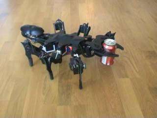 Insect Robots