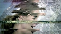 Shredded Music Videos Image 2