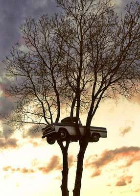 58 Treemendous Inspirations