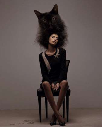 Human Cat Hair