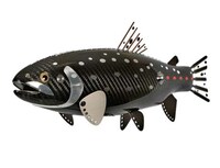Carbon Fiber Fish Image 5