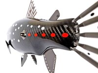 Carbon Fiber Fish Image 6