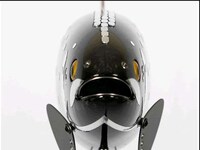 Carbon Fiber Fish Image 8