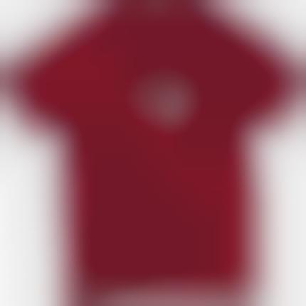 Anatomical T-Shirts