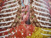 Anatomical Clothing Brochures
