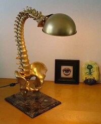 Spine Lamps