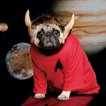 Pugs as People