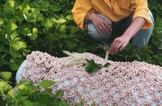 Nourishing Biodegradable Coffins