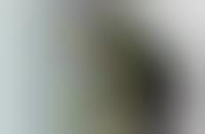 Insulated Outdoor Imagery Blankets