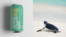 Turtle-Saving Ciders Article Thubnail