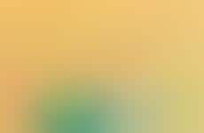 Dairy-Free Halloumi Alternatives