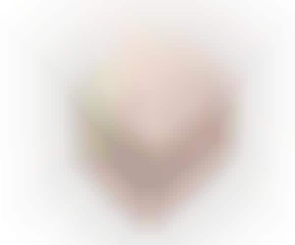 Facial Dry Brushes