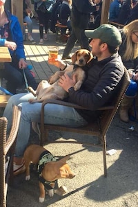 Pop-Up Puppy Bars Image 4