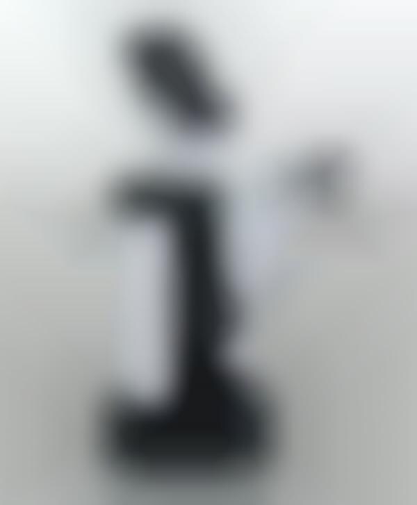 Accessibility-Focused Support Robots
