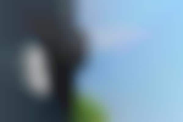 Voice Assistant Security Cameras