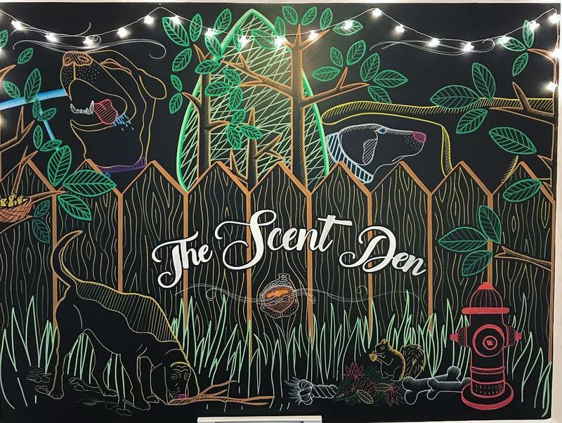 Dog-Friendly Sensory Spaces