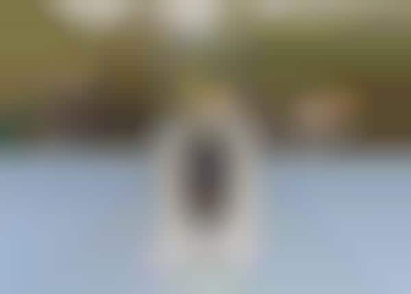App-Free Smart Locks