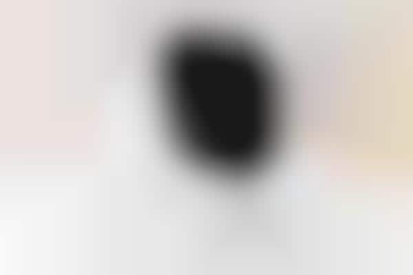 Voice Assistant Security Cameras
