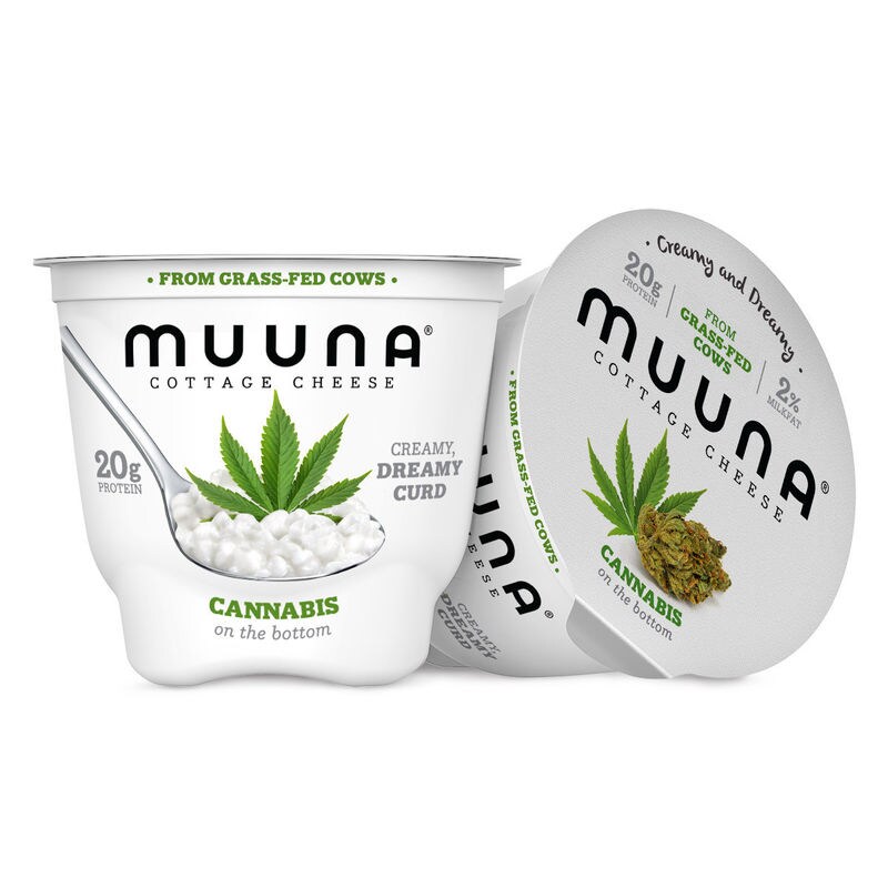 Cannabis Cottage Cheese Cups