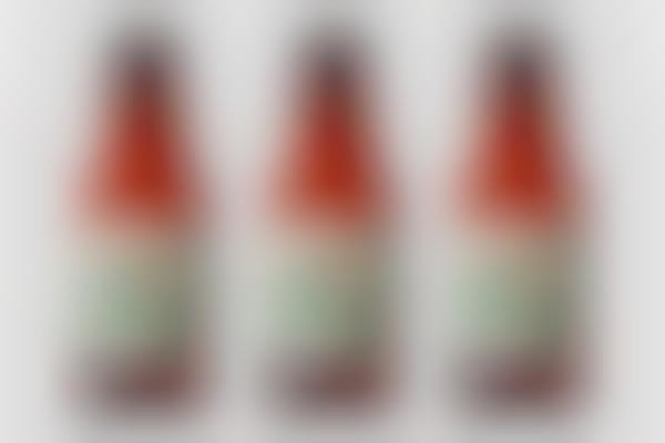 Intensely Flavored Pale Ales