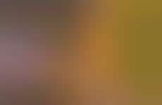 Tax-Themed Rewards Incentives