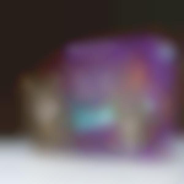 Cat Meme Kitty Litters