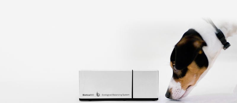 Probiotic-Enhanced Innovative Air Purifiers