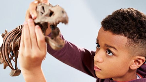 Top 30 Toys Trends in April