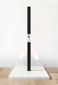Skin Pigment-Based Installations Image 3
