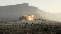 Skin Pigment-Based Installations Image 4