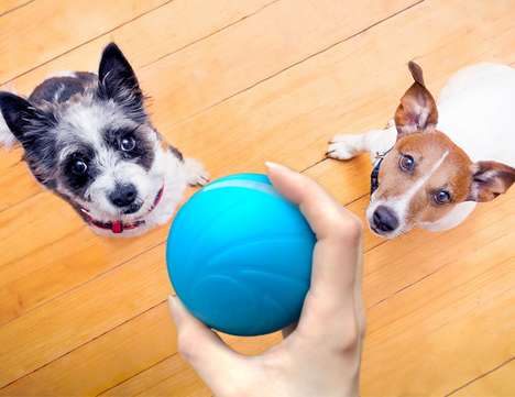 Smart App-Free Pet Toys