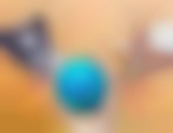 Smart App-Free Pet Toys