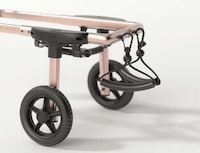 Canine Mobility Support Solutions Image 5