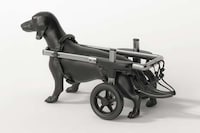 Canine Mobility Support Solutions Image 8