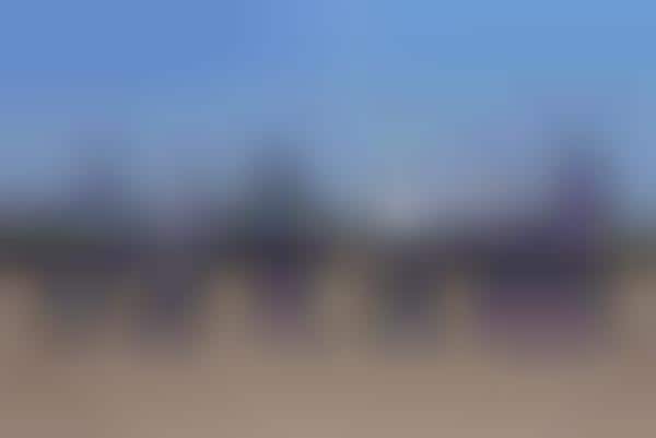 Purple-Accented Skateboarding Lines